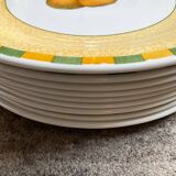 Set of 9 large Churchill-Staffordshire porcelain plates