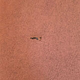 Design hairdresser's chair 1950