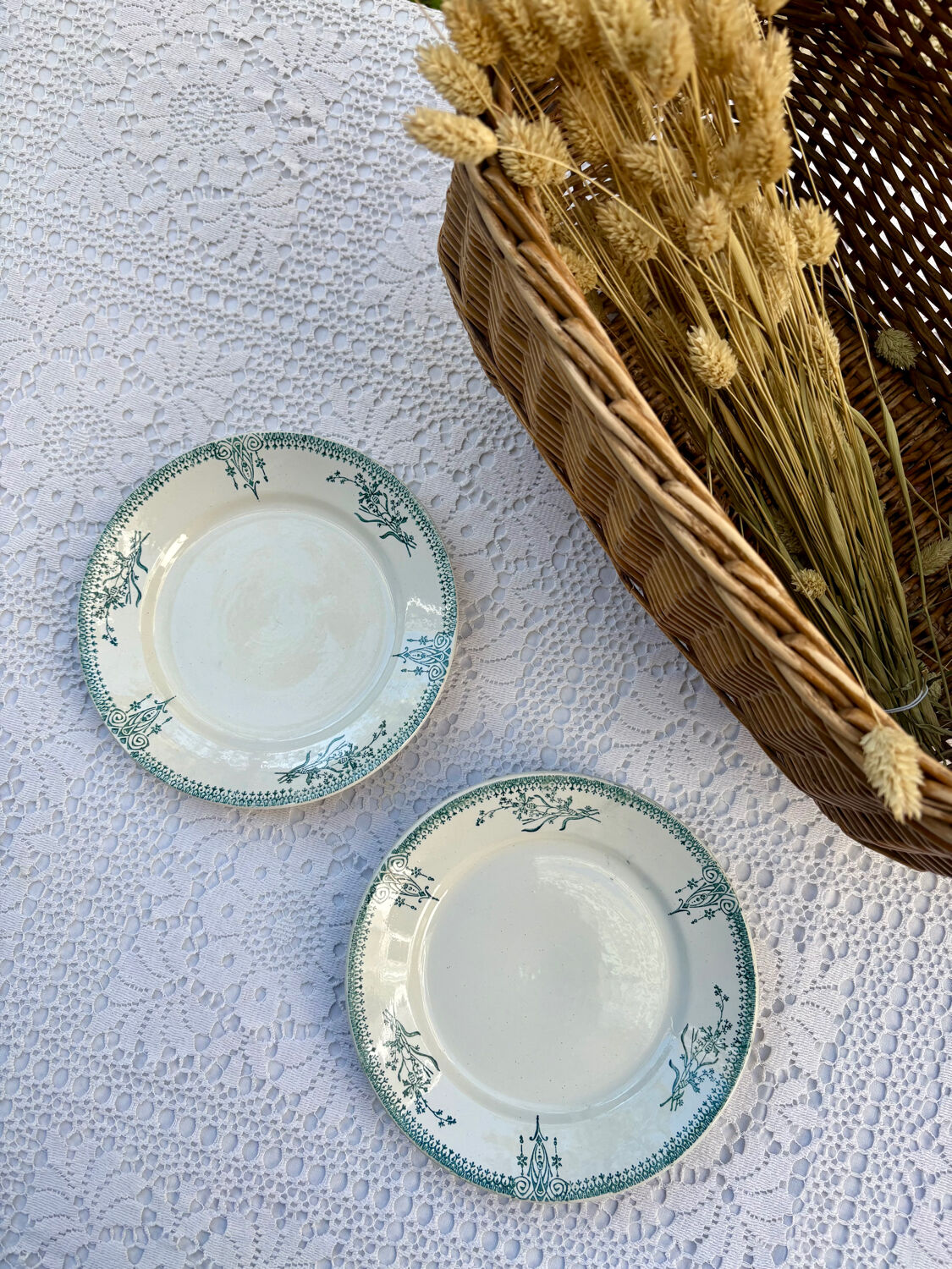 2 ironstone plates St Amand