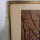 Original lithograph by Pierre-Henri Jacquot (1929-2009), birds and sun, framed and signed