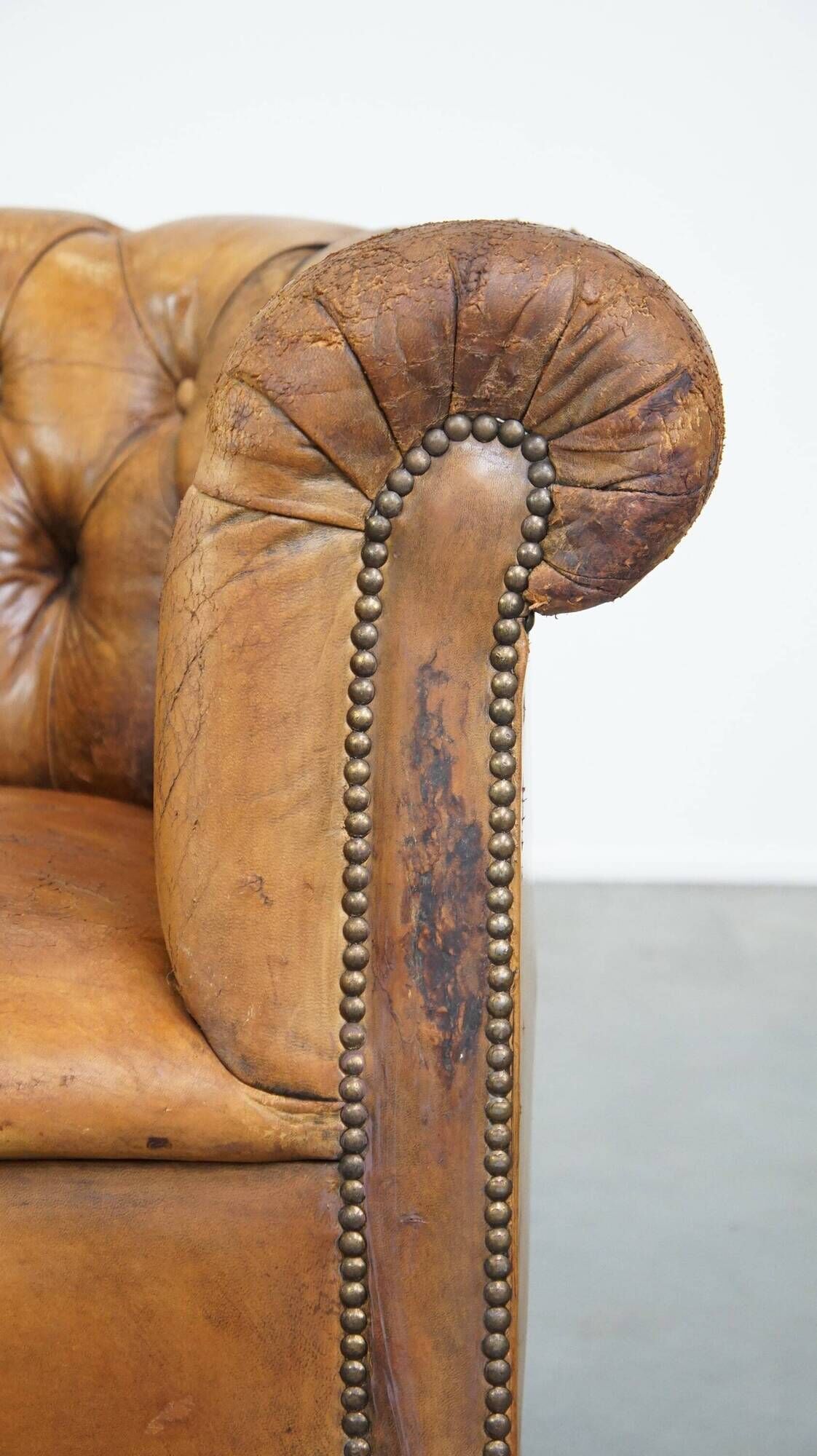Antique, characteristic sheepskin chesterfield club chair on wheels