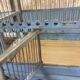 Cage a oiseaux