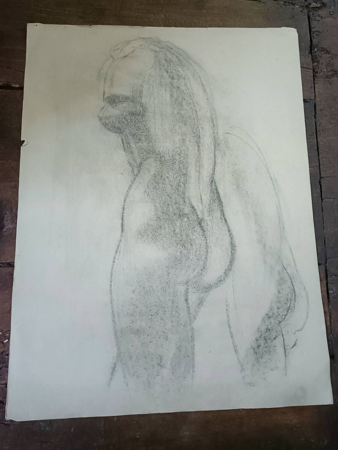 Study, drawing, nude