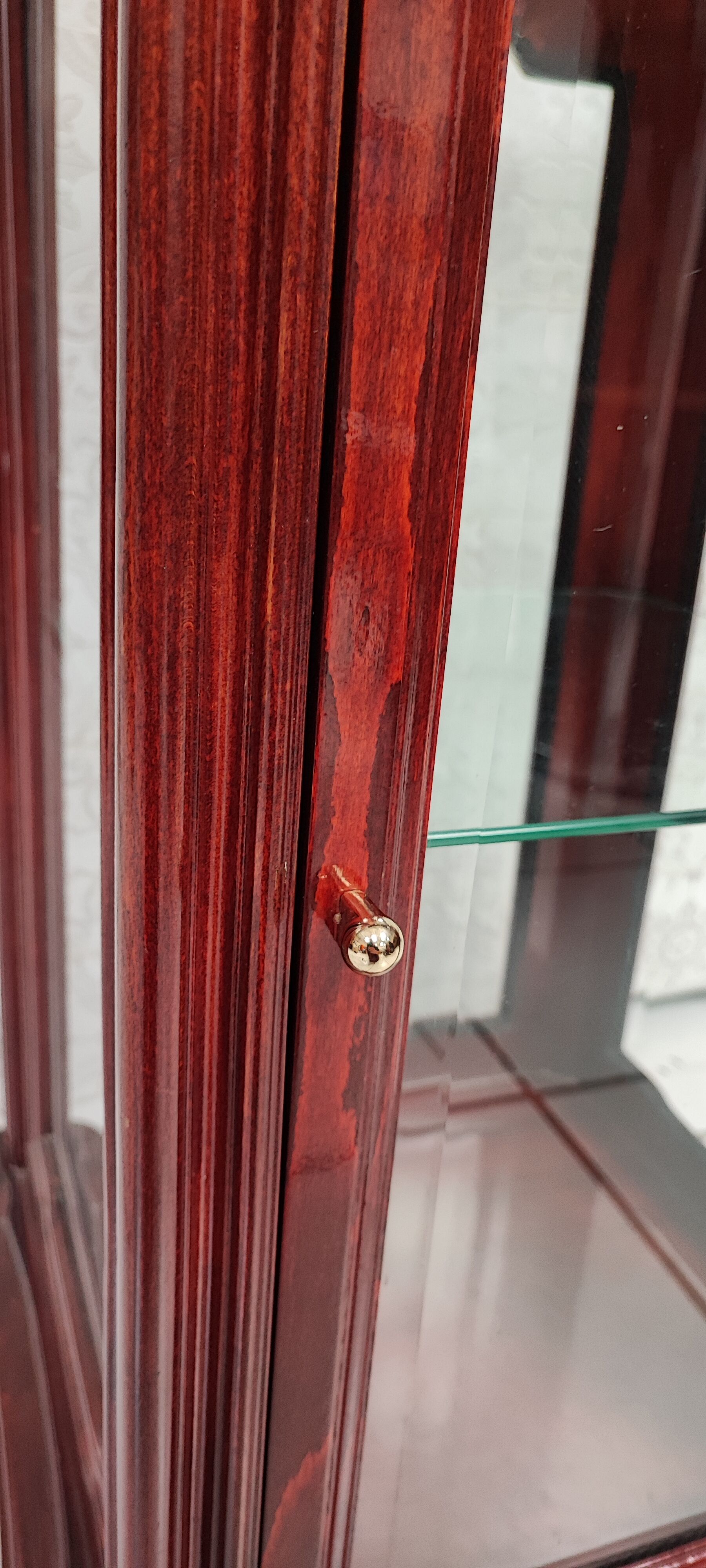 Showcase low glass beveled exotic wood