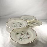 1950s Vintage French Gien Set of 5 Dessert Plates with Comets pattern