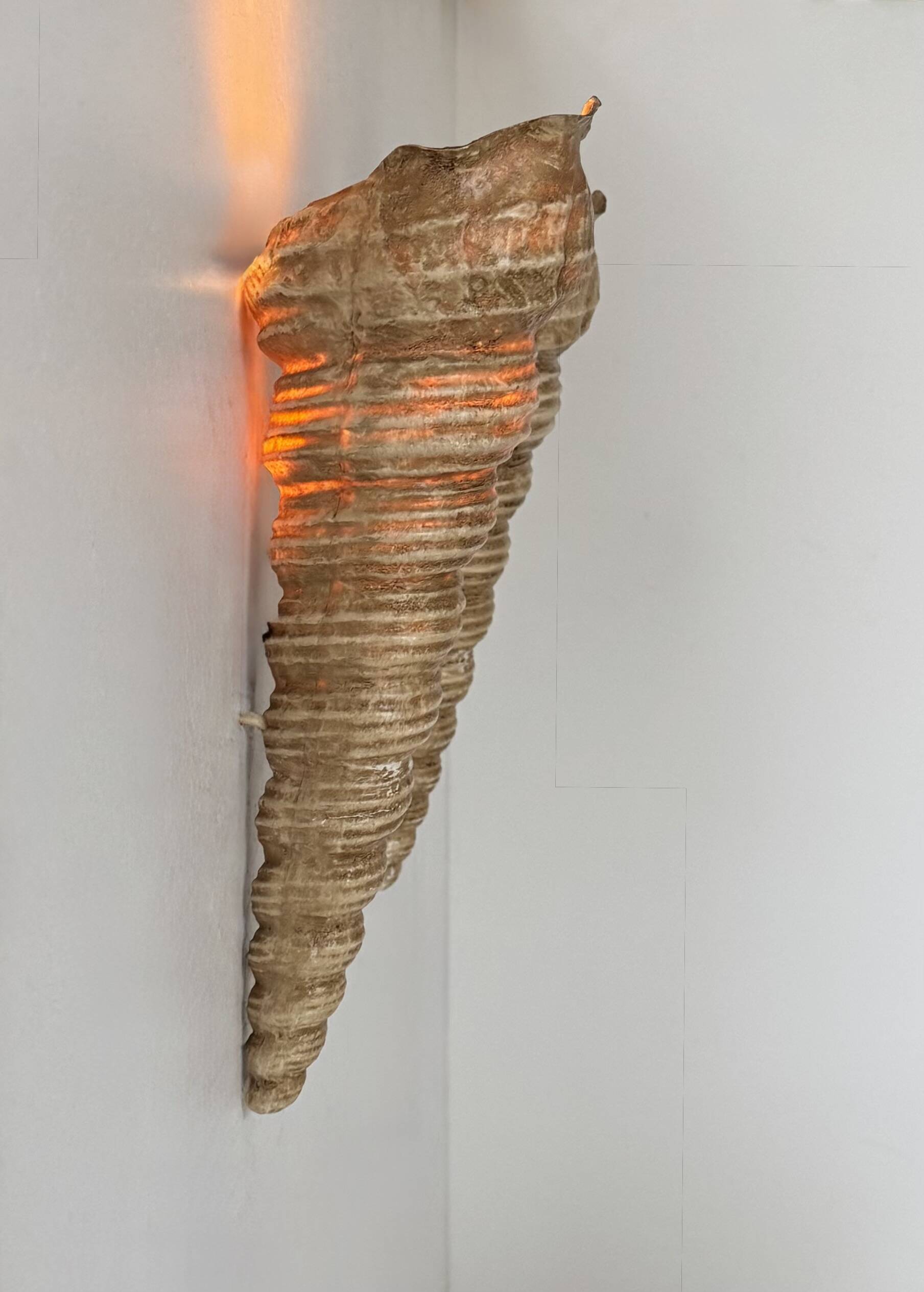 Pair of vintage shell wall sconces, beige fiberglass, France 1960