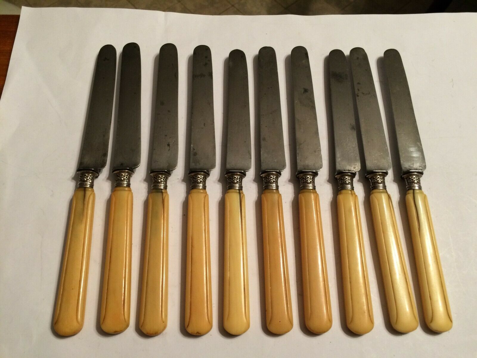 Set of 10 blade knives in steel cheese and dessert