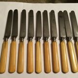 Set of 10 blade knives in steel cheese and dessert