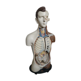 Flayed