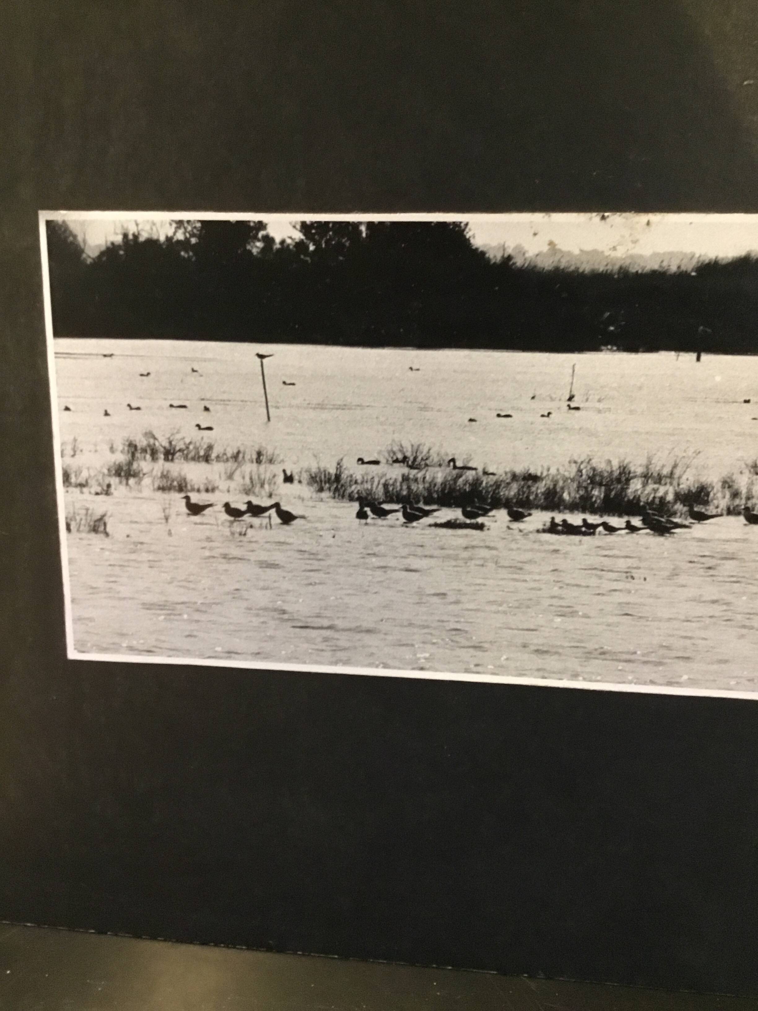 Tirage photo argentique noir et blanc paysage