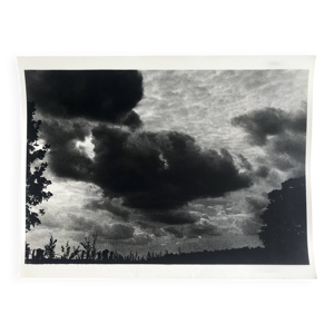 Rosine nusimovici, sans