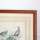 Ornithological board Edouard Traviès "La Perdrix Grise and La Perdrix Rouge