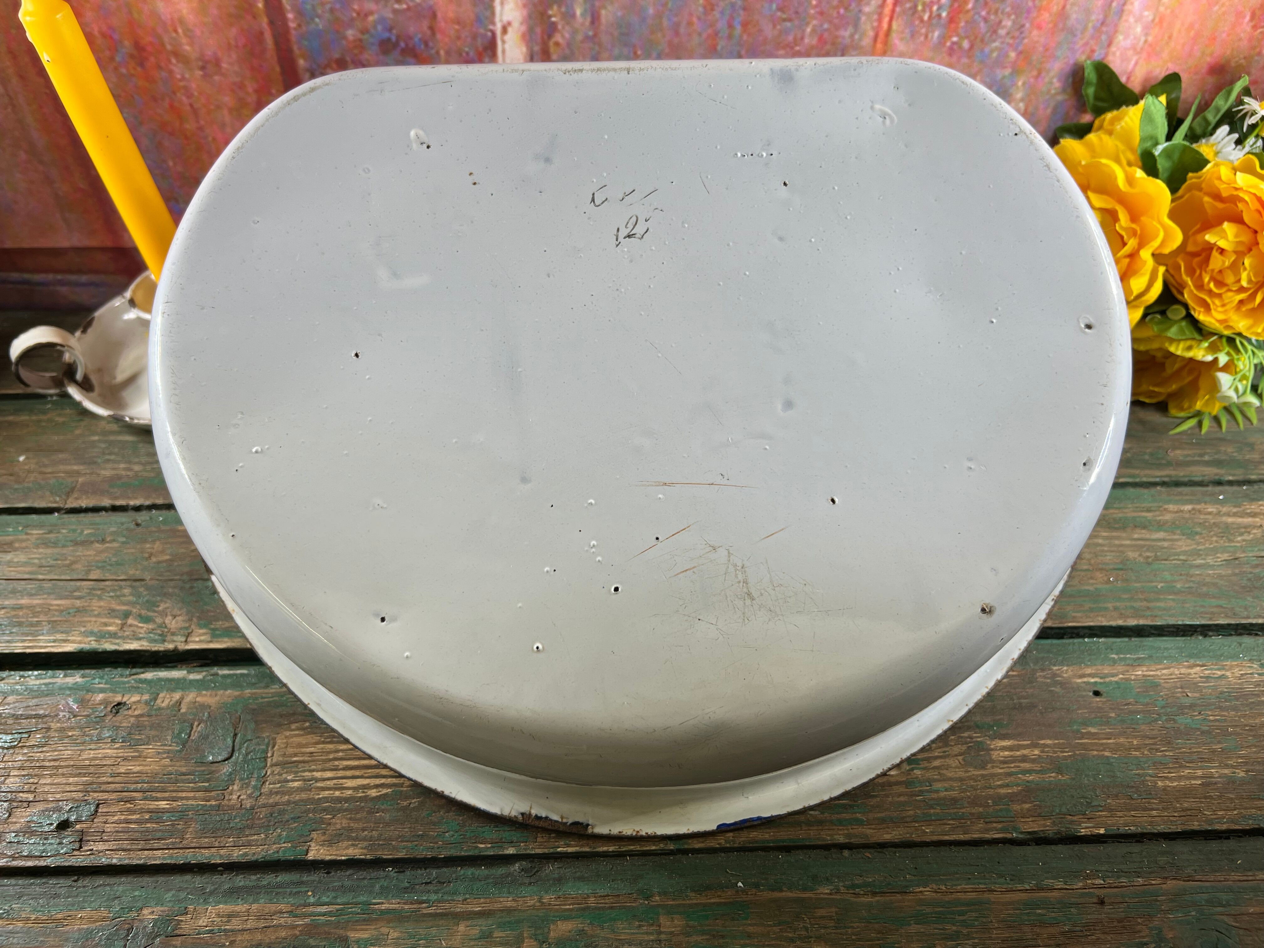 Old white enamelled hand washbasin or gardener enamel garden