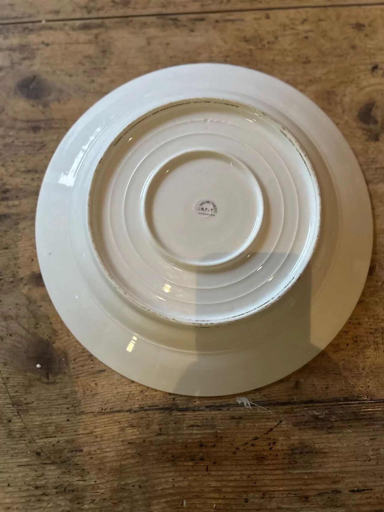 Set of 12 antique porcelain plates with anemone pattern + matching large plate 29.5 cm