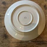 Set of 12 antique porcelain plates with anemone pattern + matching large plate 29.5 cm