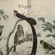 Large antique engraving, 1886 - Finch and birds. Lithograph, plate