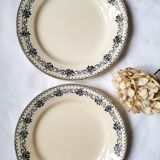 Antique dessert plates mismatched iron earth