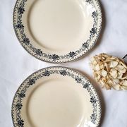 Antique dessert plates mismatched iron earth