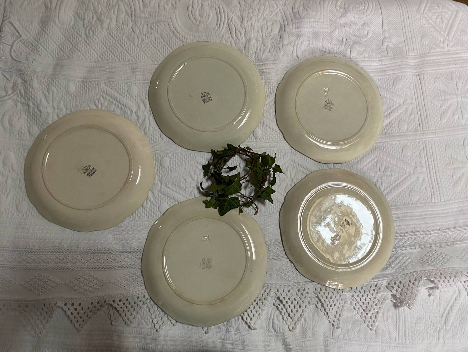 Set of 5 Choisy le Roi 19th century majoline plates