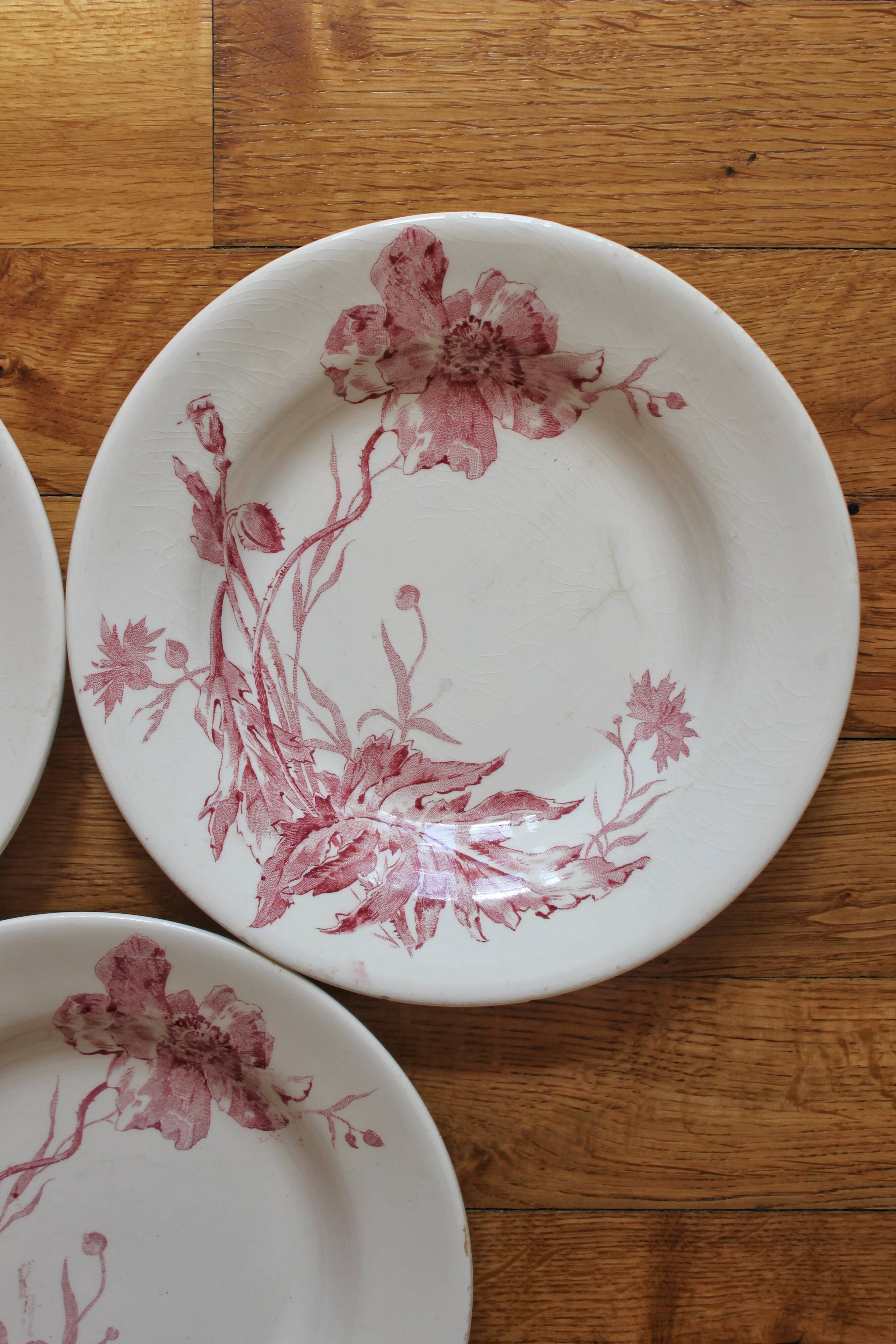 4 plates in iron earth opaque poppies, from Gien