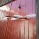 Arlus chandelier