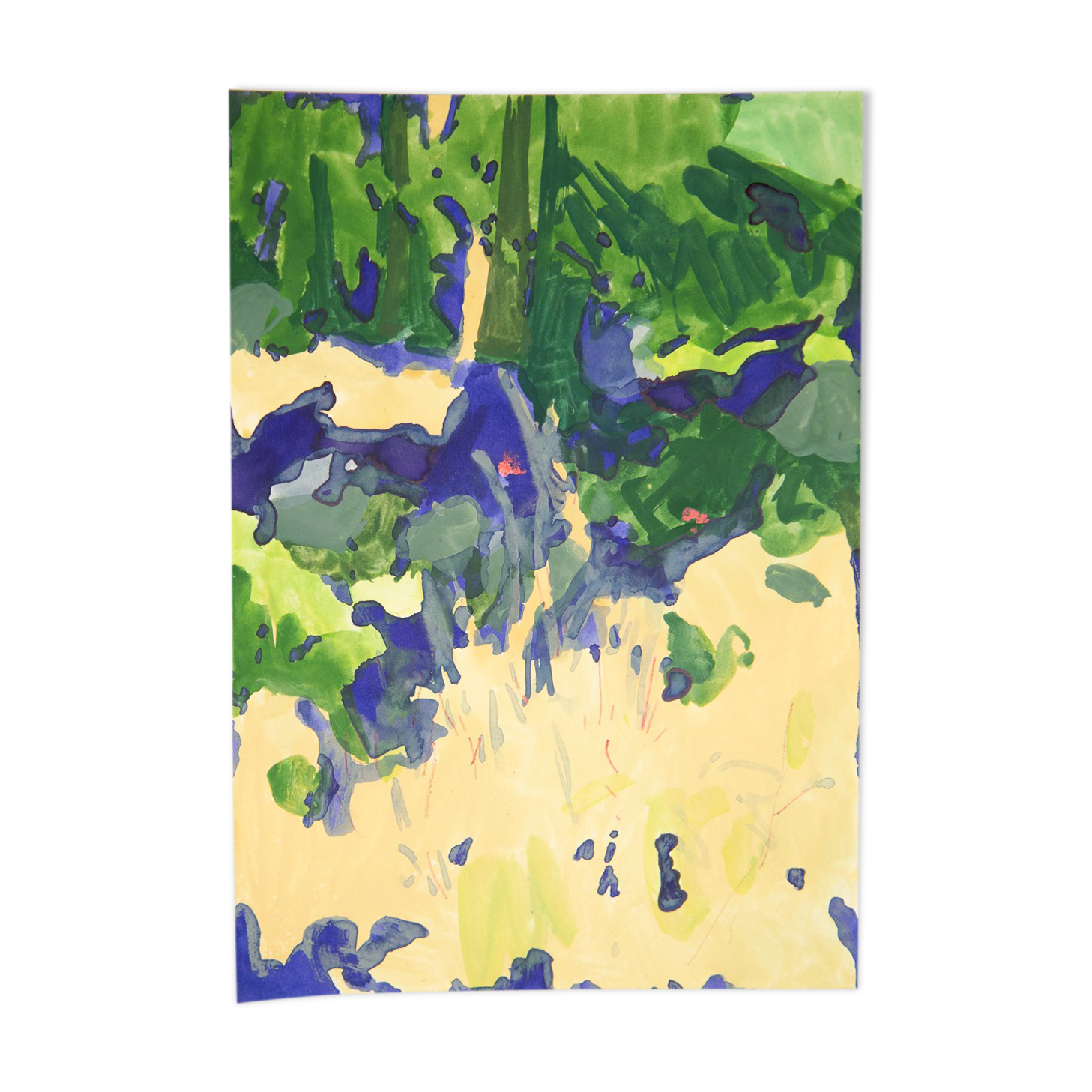 Undergrowth moss, illustration