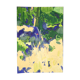 Undergrowth moss, illustration