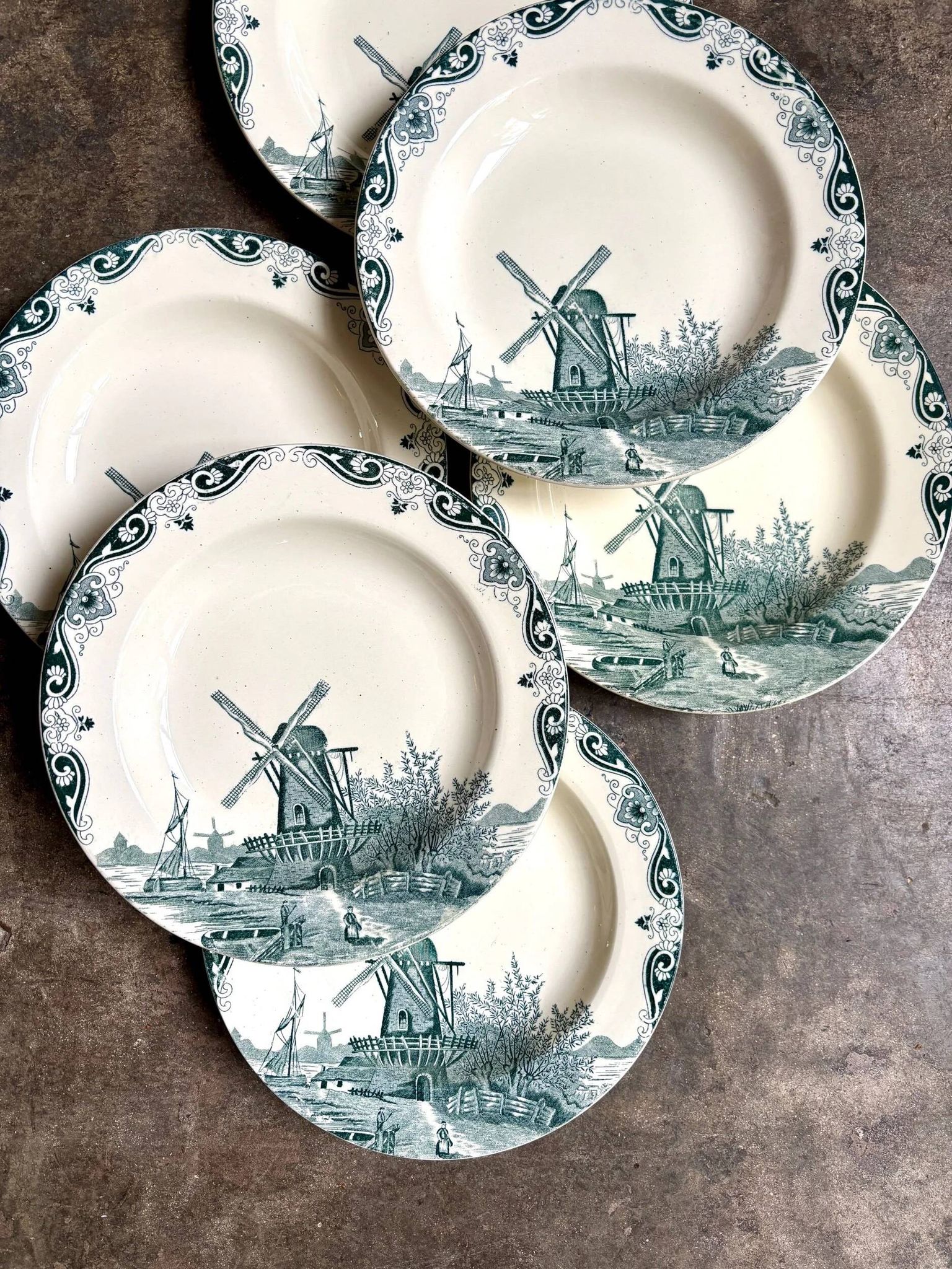6 Salins iron earthenware soup plates, "Delft" service