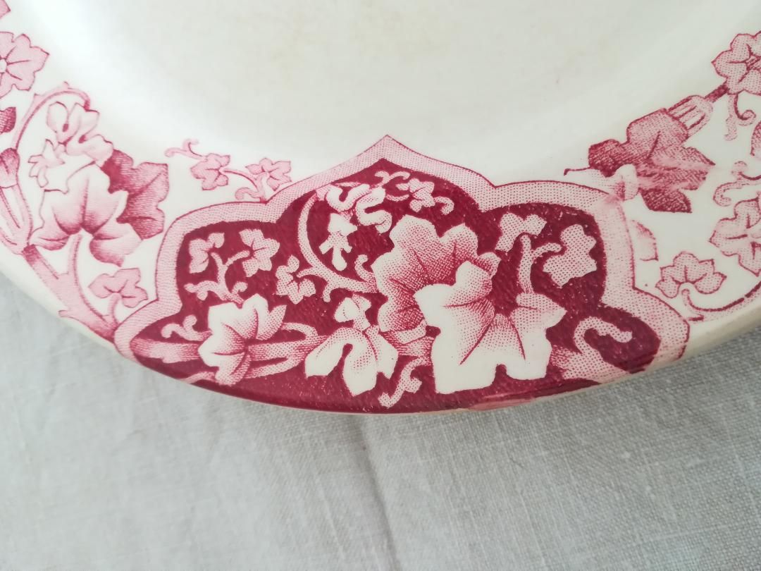 Old plate earthenware of Lunéville KG model "Ivy ".
