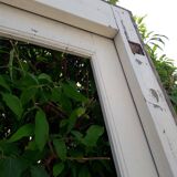 Old glazed door 211.5x105.5cm and its entrance door frame.