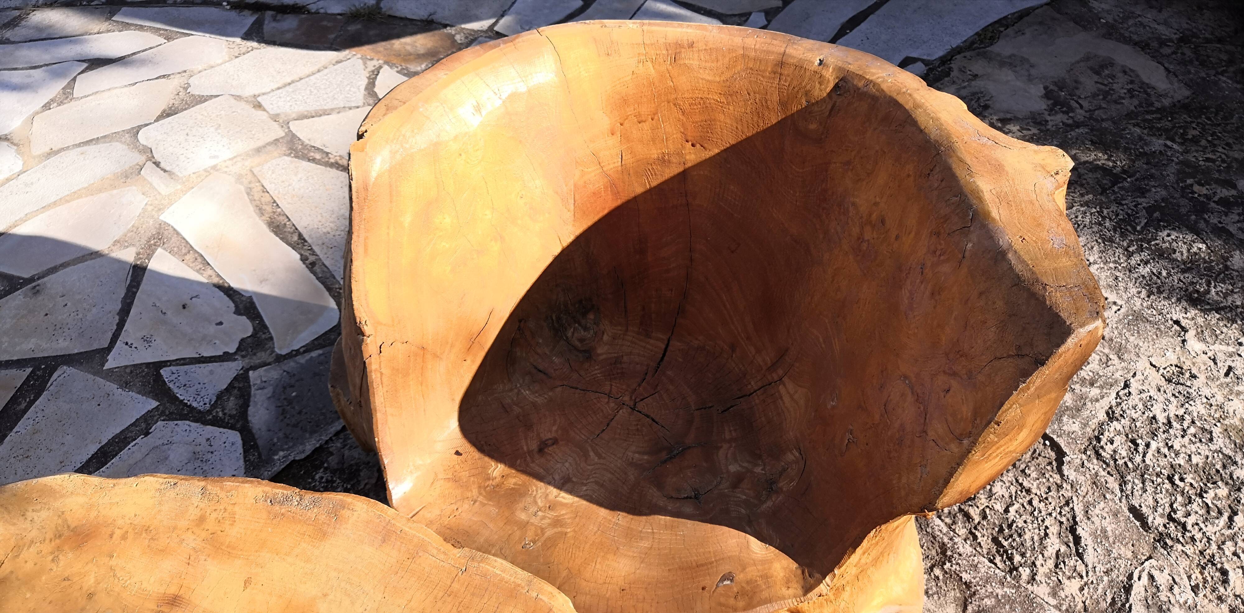 Living room 2 armchairs & coffee table in elm brutalist design 1950