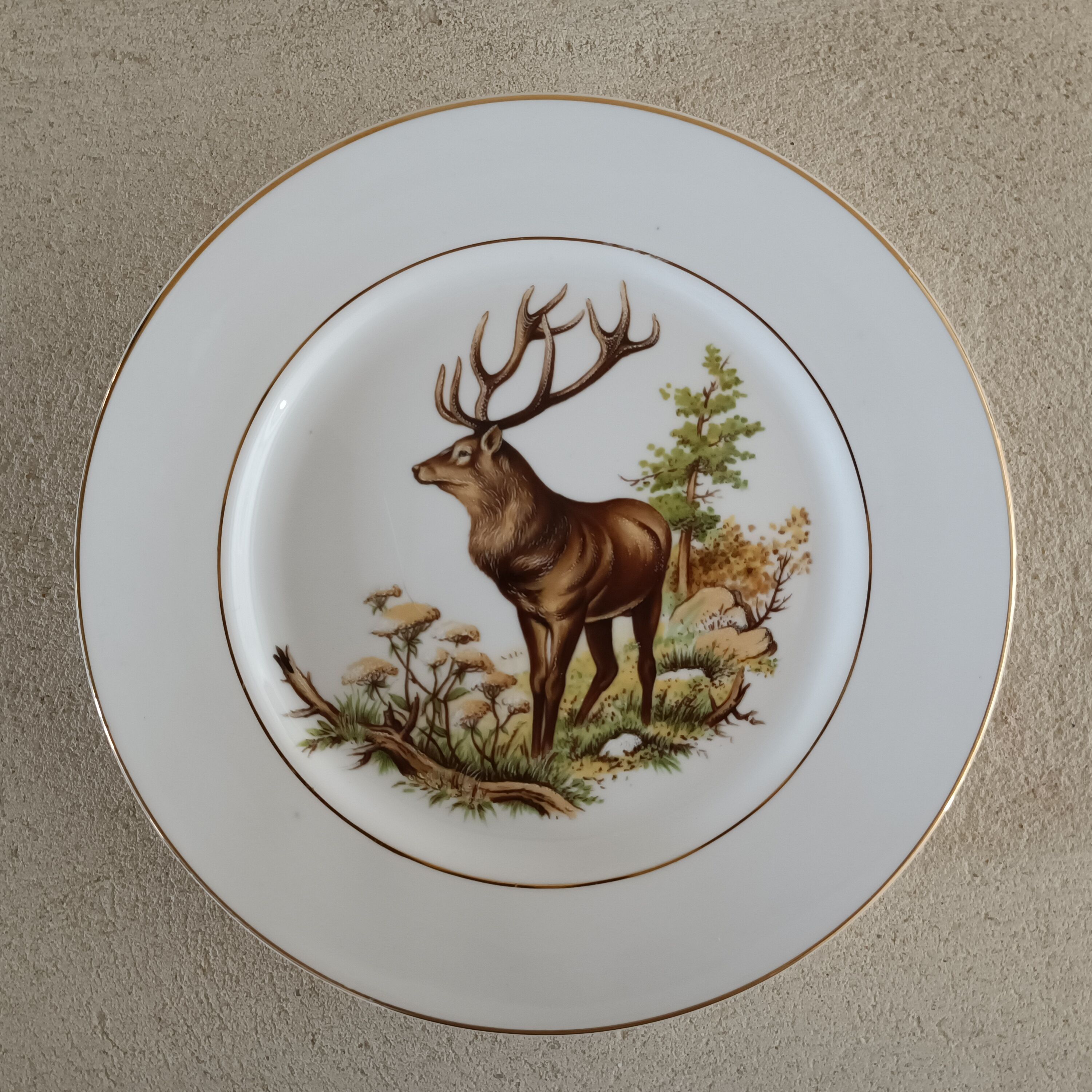 English porcelain plate