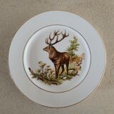 English porcelain plate