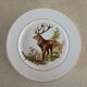 English porcelain plate