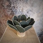 Flower table lamp made of rattan and fir green linen petals