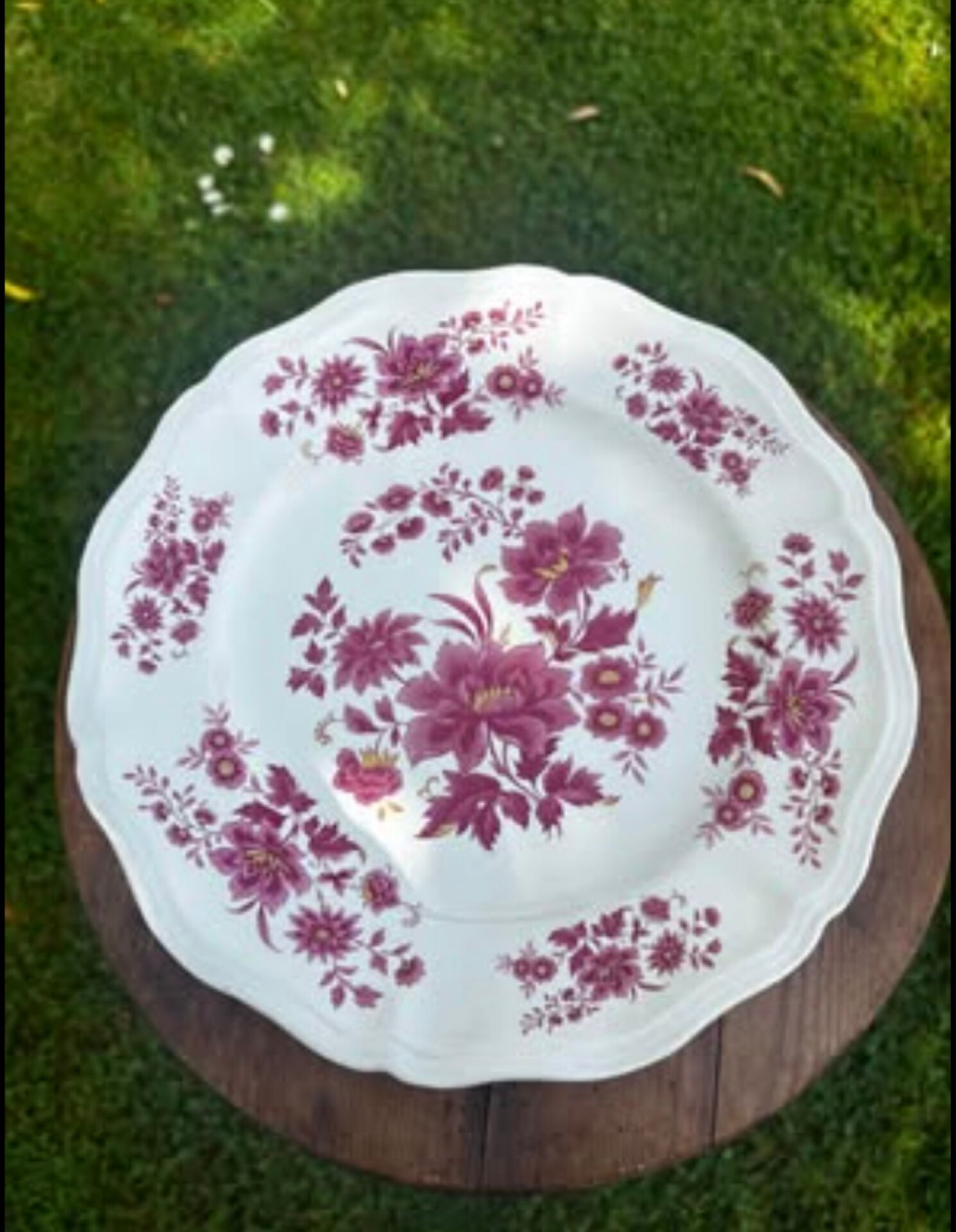 Ensemble de deux assiettes plates anciennes Sarreguemines Aubusson