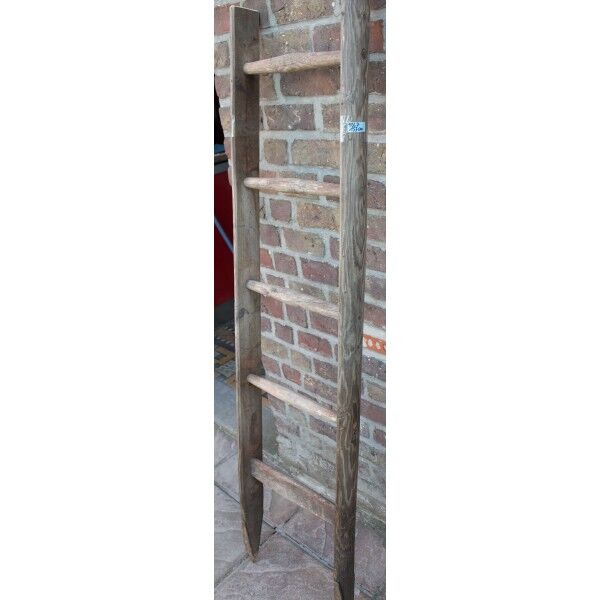 Fruit harvest scale 153 cm decorative