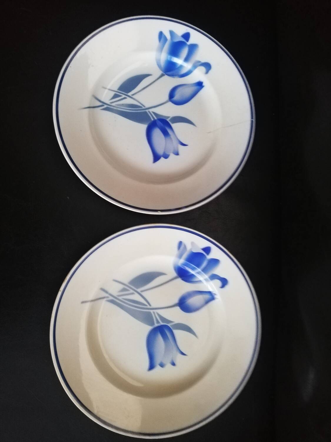Lot 6 flat plates, 6 hollow Didier MDL