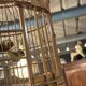 Wooden bird cage