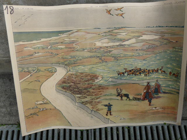 School poster Rossignol collection years 50,N° 45 and 46 the tundra - the virgin forest