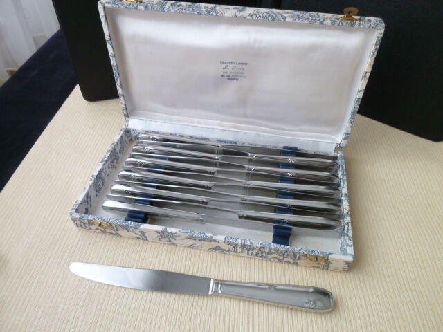 Box of 12 one-piece stainless steel table knives