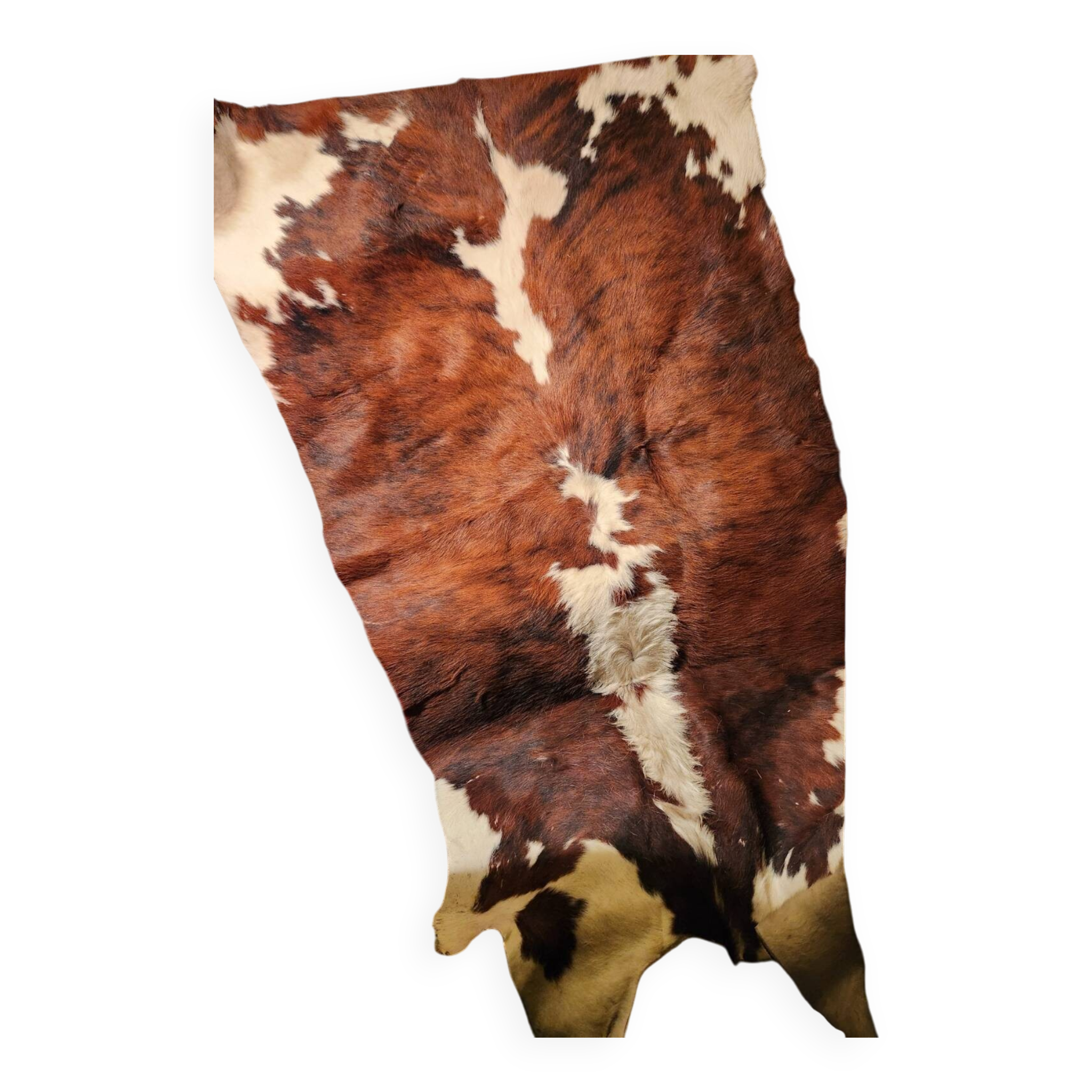 Very large and very beautiful genuine cowhide