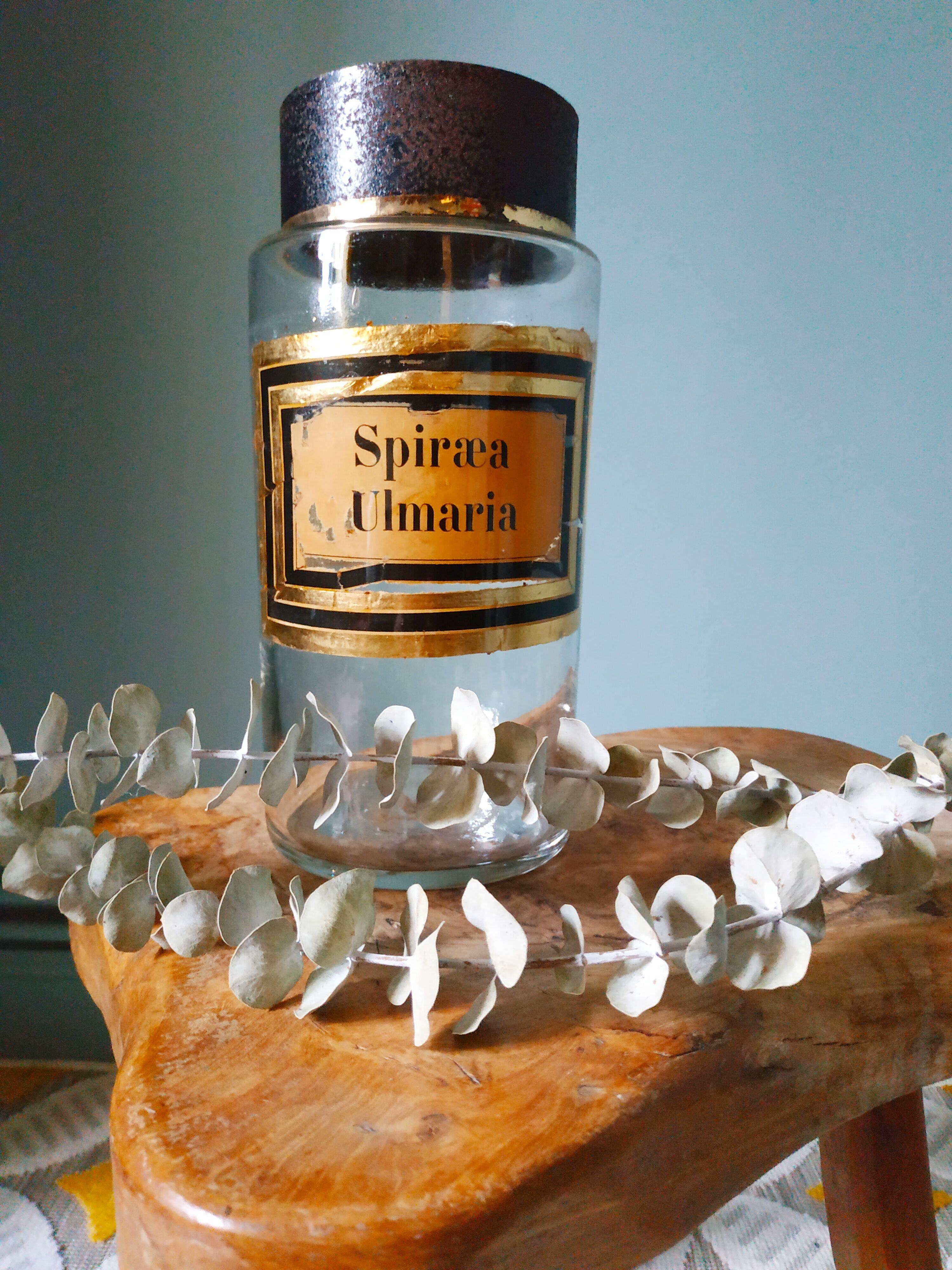 Bottle old pharmacy herbalism early nineteenth century double green label