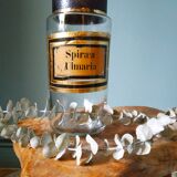 Bottle old pharmacy herbalism early nineteenth century double green label