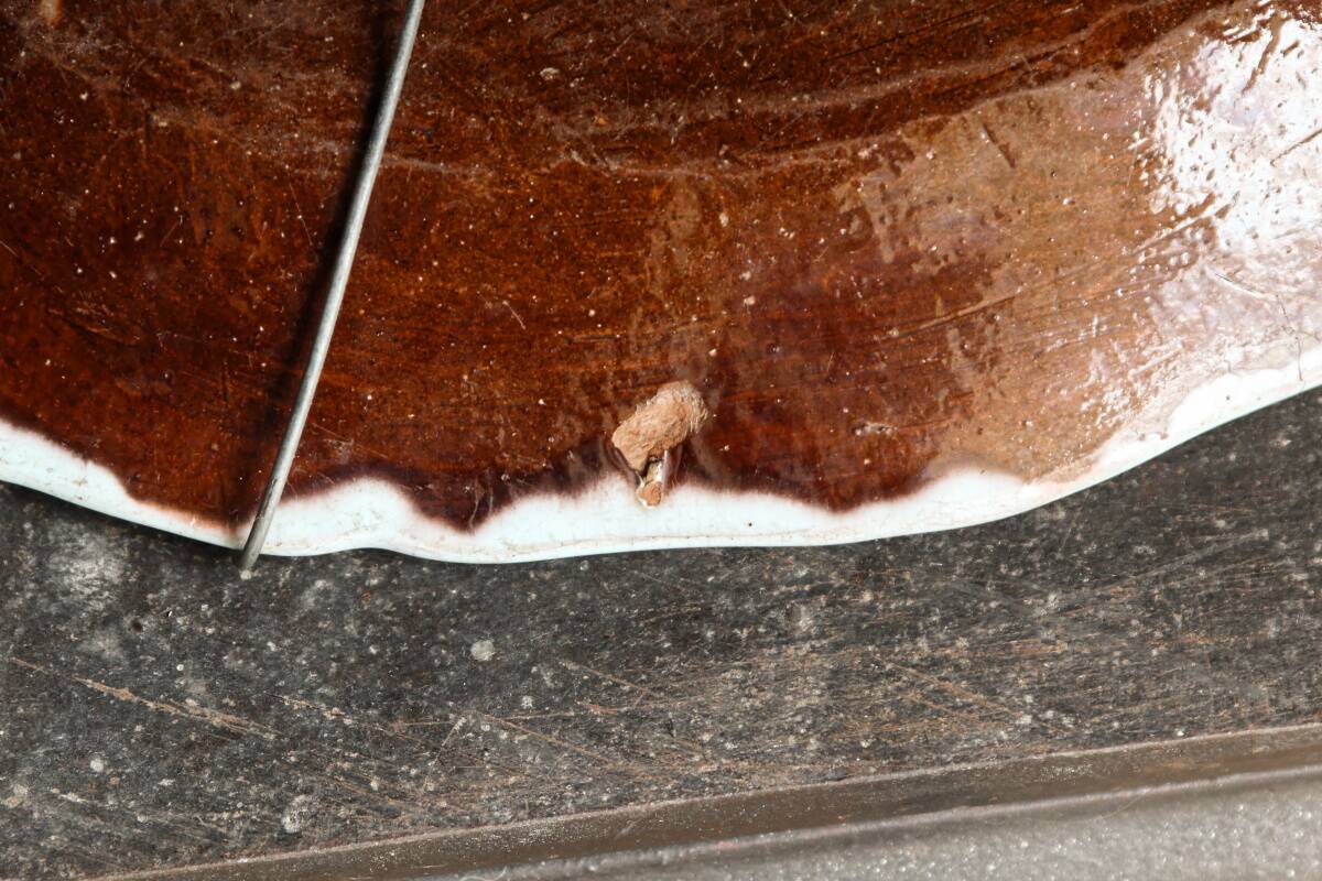 Rouen earthenware dish "black ass"