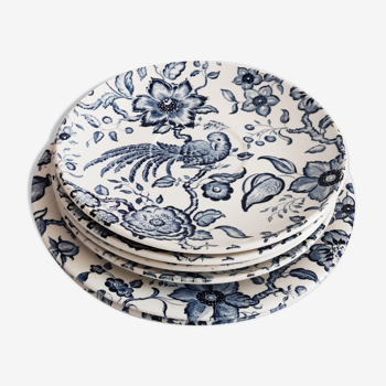 6 assiettes Villeroy et Boch modèle Paradiso