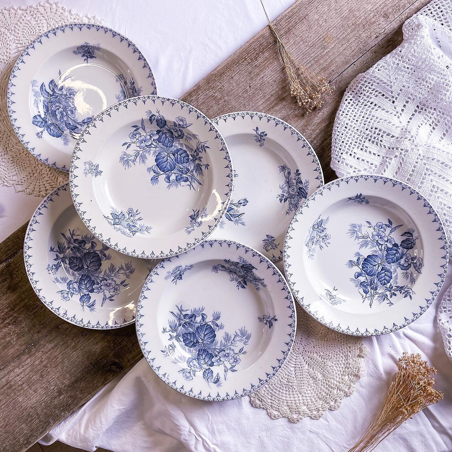 6 hollow plates iron earth model Flora