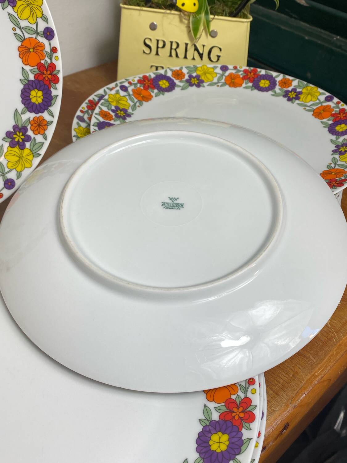 Bavaria porcelain dinner plates