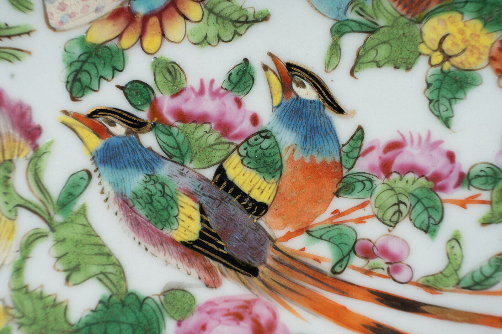 Porcelain plate of Canton XIXth decoration of butterflies and bird