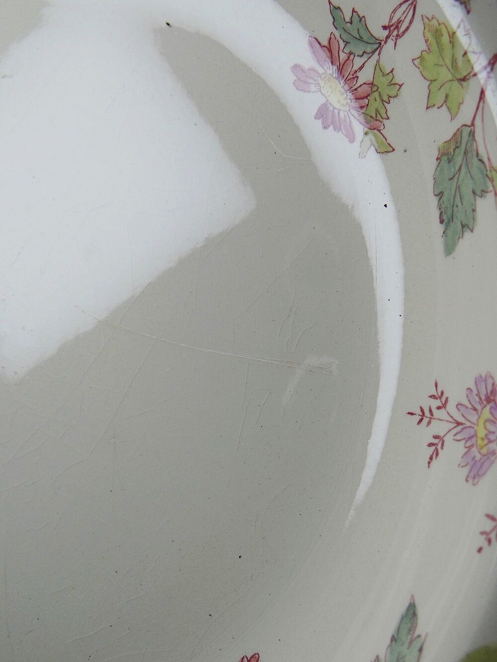 Antique Longchamp service shallow dish with polychrome daisies, ironstone, 19th century.